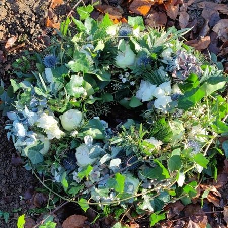 Waldbestattung / Friedwald / Naturbestattung