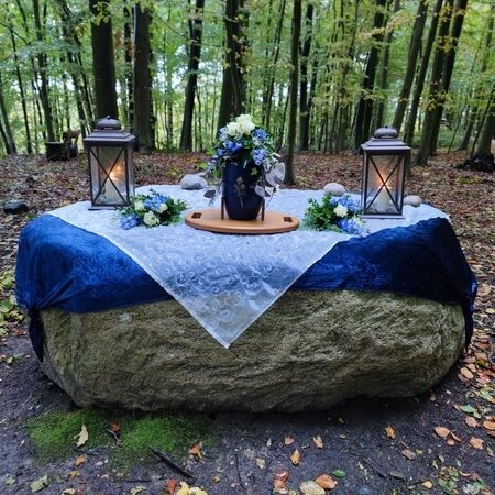 Waldbestattung / Friedwald / Naturbestattung