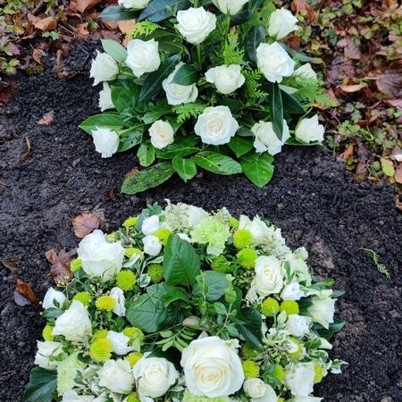 Waldbestattung / Friedwald / Naturbestattung