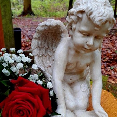 Waldbestattung / Friedwald / Naturbestattung