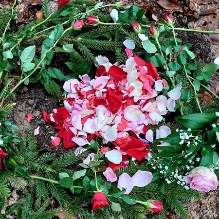 Waldbestattung / Friedwald / Naturbestattung