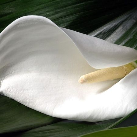 Bestattungsvorsorge in Stakendorf und Umgebung